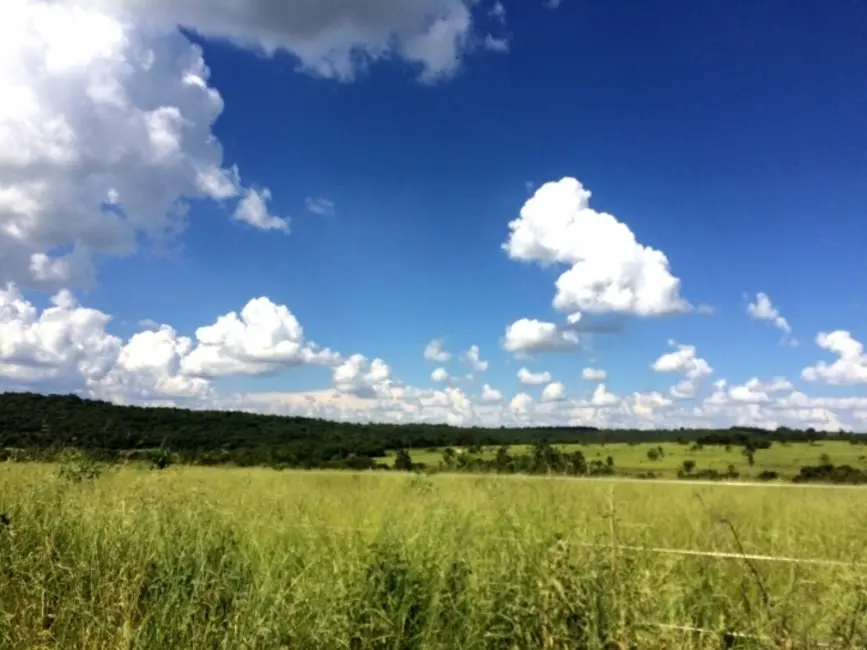 Foto 5 de Fazenda / Haras à venda, 3310m2 em Indiara - GO