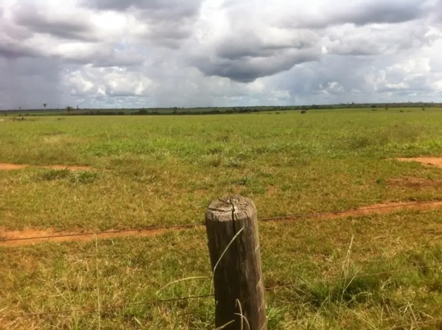 Foto 7 de Fazenda / Haras à venda, 15700m2 em Juina - MT