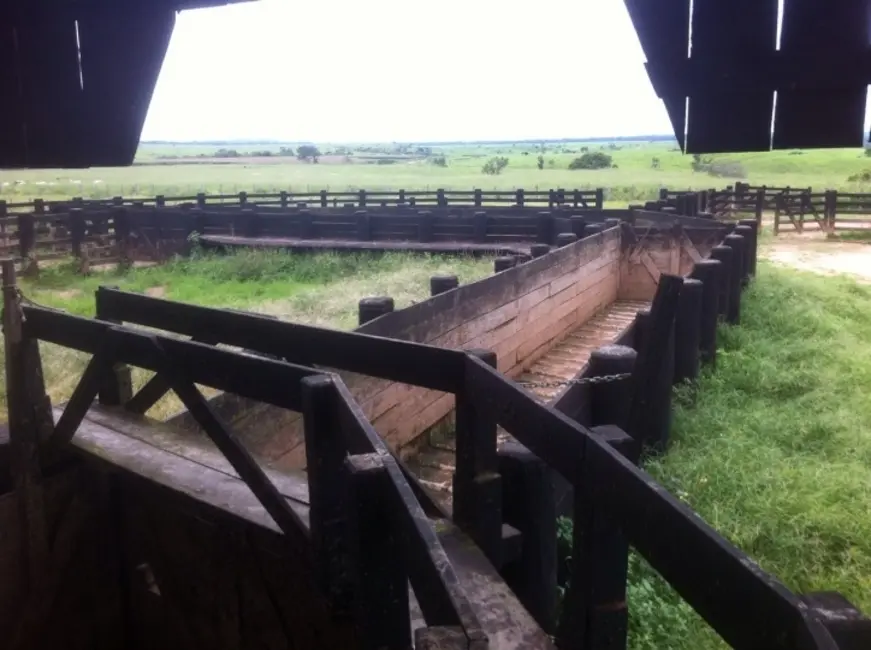 Foto 6 de Fazenda / Haras à venda, 15700m2 em Juina - MT