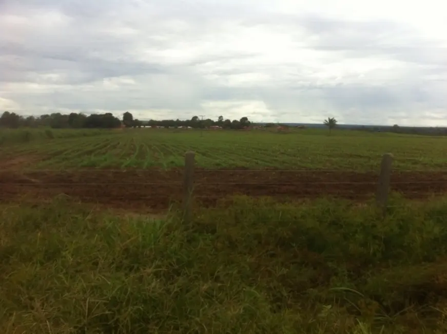 Foto 3 de Fazenda / Haras à venda, 15700m2 em Juina - MT