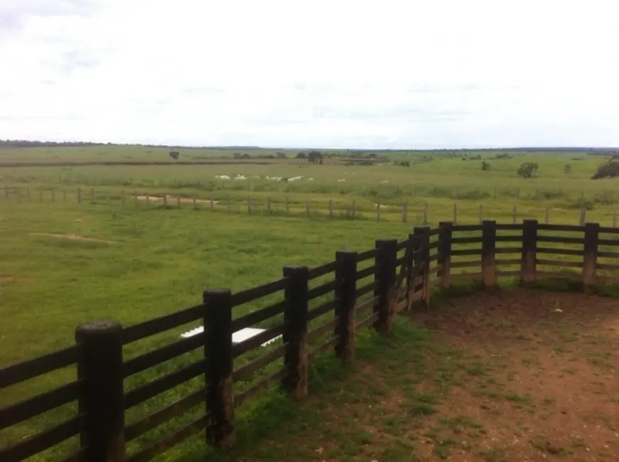 Foto 9 de Fazenda / Haras à venda, 15700m2 em Juina - MT