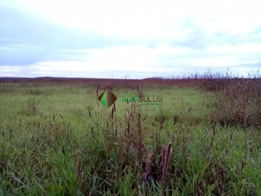 Foto 5 de Fazenda / Haras à venda, 2950m2 em Balsas - MA