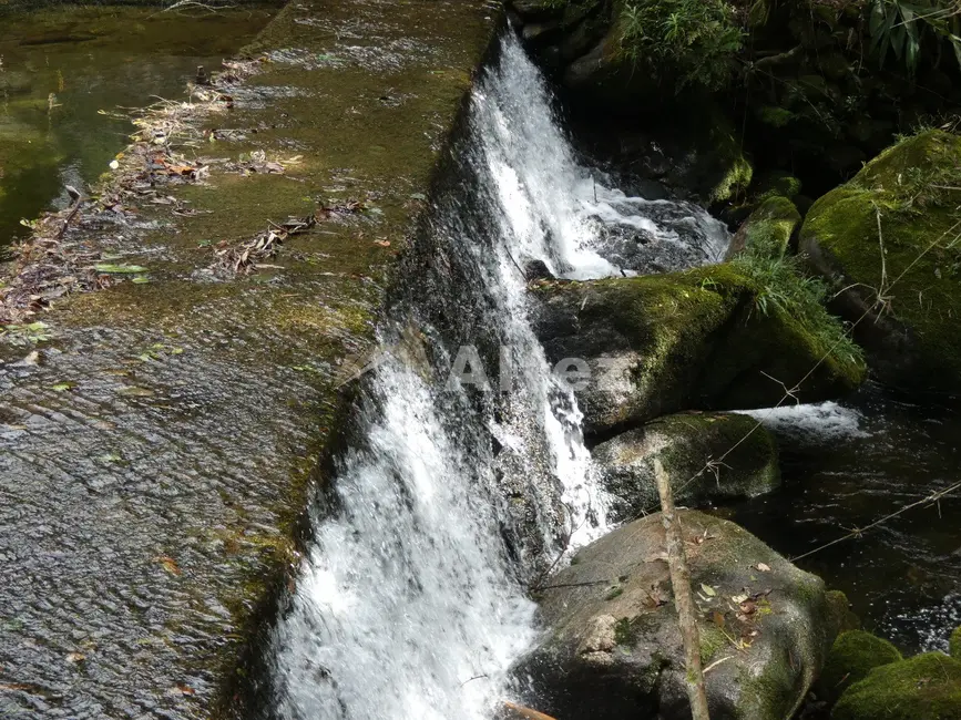 Sítio / Rancho com 7 quartos à venda, 5000m2 em Albuquerque, Teresopolis - RJ - imagem 5 Foto 5 de Sítio / Rancho com 7 quartos à venda, 5000m2 em Albuquerque, Teresopolis - RJ