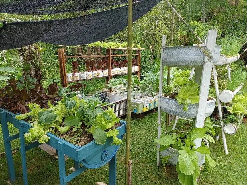 Casa com 3 quartos à venda, 3900m2 em Teresopolis - RJ - imagem 6 Foto 6 de Casa com 3 quartos à venda, 3900m2 em Teresopolis - RJ