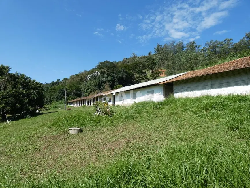 Sítio / Rancho com 3 quartos para alugar, 72000m2 em Granja Mafra, Teresopolis - RJ - imagem 6 Foto 6 de Sítio / Rancho com 3 quartos para alugar, 72000m2 em Granja Mafra, Teresopolis - RJ