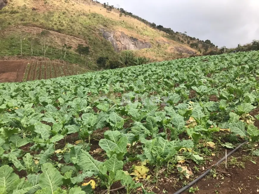 Sítio / Rancho com 1 quarto à venda, 123000m2 em Vieira, Teresopolis - RJ - imagem 6 Foto 6 de Sítio / Rancho com 1 quarto à venda, 123000m2 em Vieira, Teresopolis - RJ