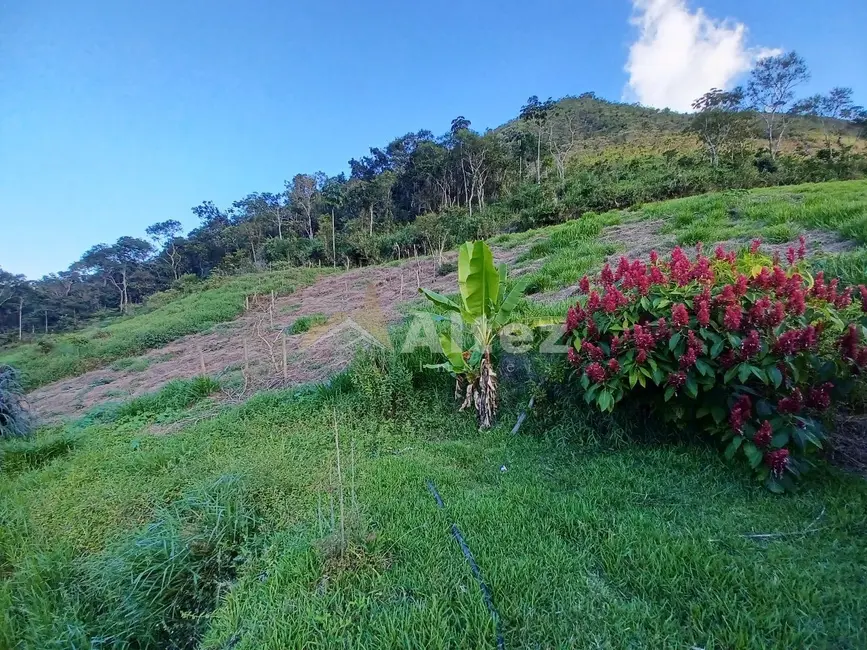 Sítio / Rancho com 1 quarto à venda, 123000m2 em Vieira, Teresopolis - RJ - imagem 3 Foto 3 de Sítio / Rancho com 1 quarto à venda, 123000m2 em Vieira, Teresopolis - RJ