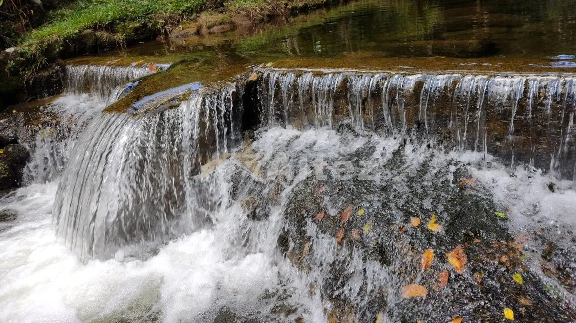 Foto 8 de Sítio / Rancho com 6 quartos à venda, 15460m2 em Albuquerque, Teresopolis - RJ