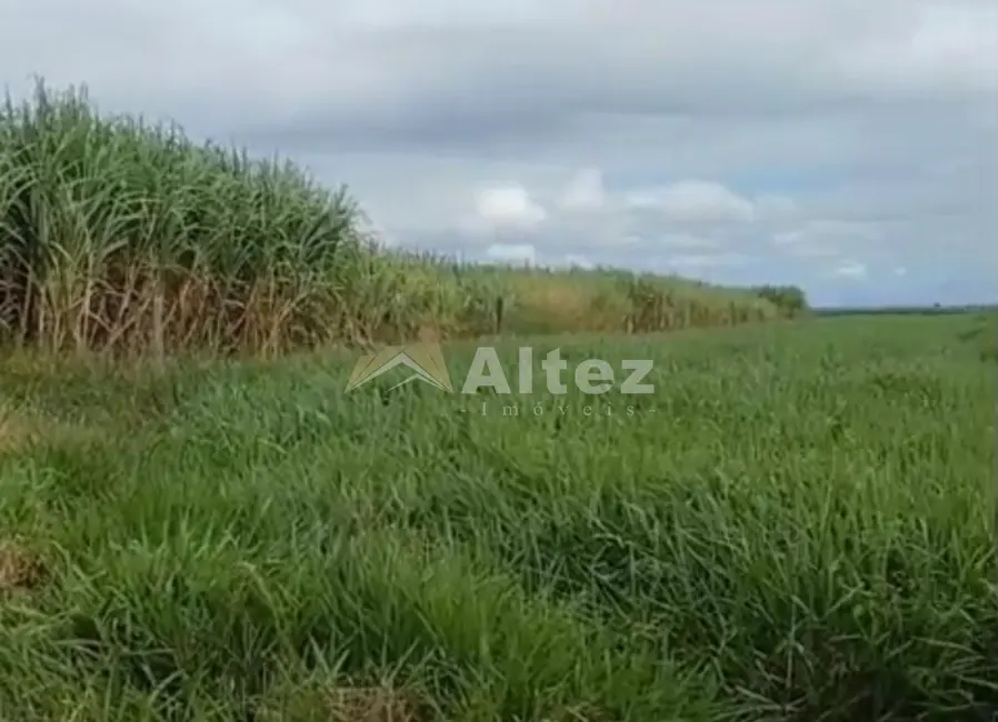 Foto 4 de Fazenda / Haras com 2 quartos à venda, 7560900m2 em Campos Dos Goytacazes - RJ