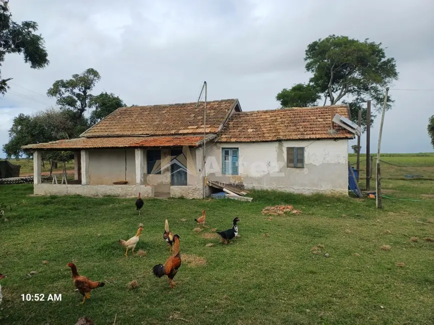 Foto 7 de Fazenda / Haras com 2 quartos à venda, 7560900m2 em Campos Dos Goytacazes - RJ
