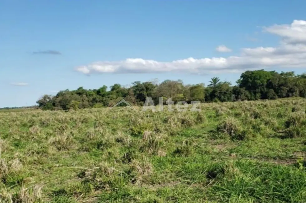 Foto 4 de Fazenda / Haras à venda, 4444270m2 em Campos Dos Goytacazes - RJ