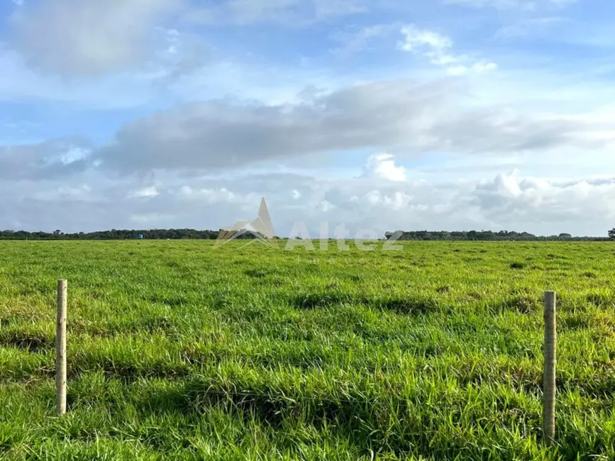 Foto 3 de Fazenda / Haras com 4 quartos à venda, 5870000m2 em Porto Seguro - BA