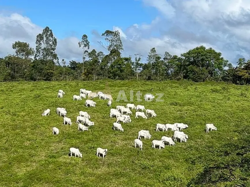 Foto 6 de Fazenda / Haras com 4 quartos à venda, 5870000m2 em Porto Seguro - BA