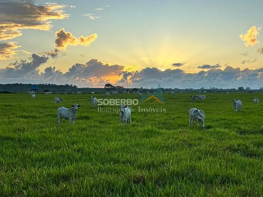 Foto 1 de Fazenda / Haras com 4 quartos à venda, 5870000m2 em Porto Seguro - BA