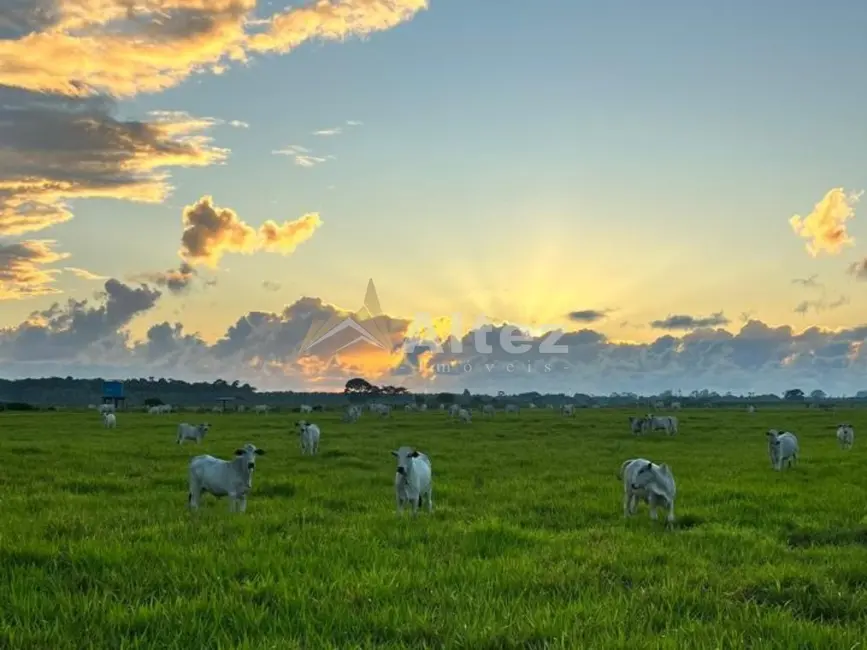 Foto 8 de Fazenda / Haras com 4 quartos à venda, 5870000m2 em Porto Seguro - BA