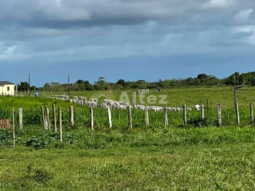 Foto 7 de Fazenda / Haras com 4 quartos à venda, 5870000m2 em Porto Seguro - BA