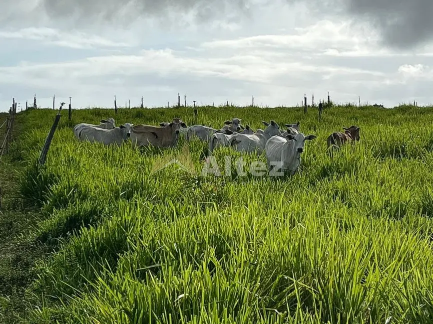Foto 4 de Fazenda / Haras com 4 quartos à venda, 5870000m2 em Porto Seguro - BA