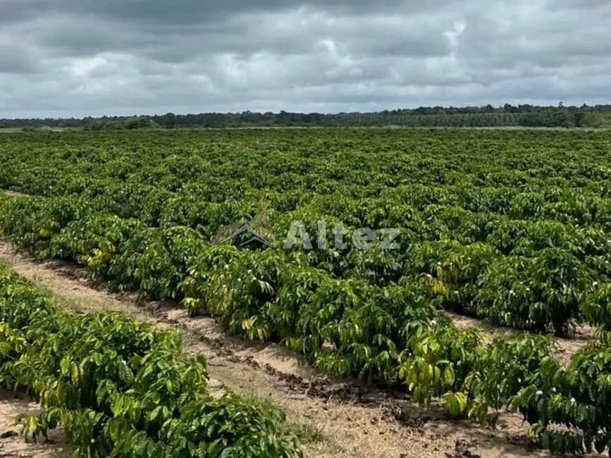Foto 5 de Fazenda / Haras com 4 quartos à venda, 5870000m2 em Porto Seguro - BA