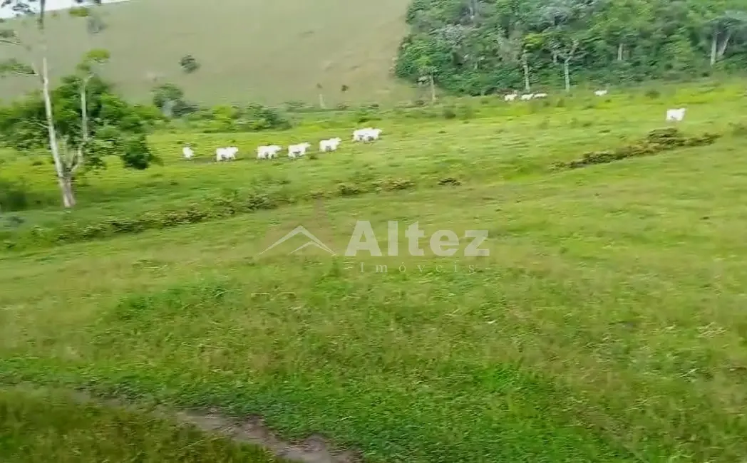 Foto 2 de Fazenda / Haras com 1 quarto à venda, 5660000m2 em Conceicao De Macabu - RJ