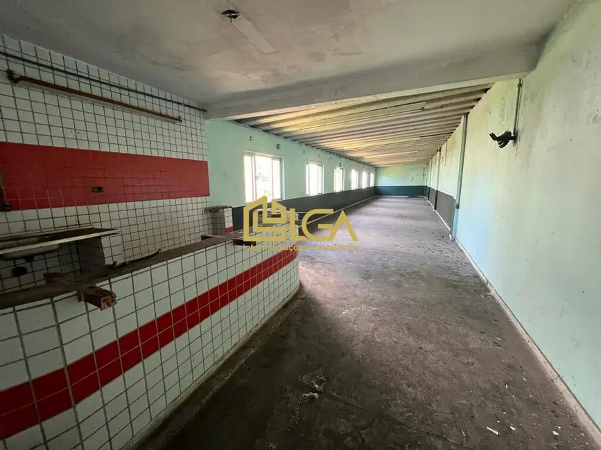 Foto 8 de Armazém / Galpão com 1 quarto para alugar, 1328m2 em Vila São Benedito, Cubatao - SP