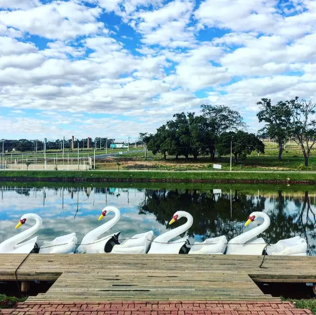 Terreno / Lote à venda, 300m2 em Caldas Novas - GO - imagem 4 Foto 4 de Terreno / Lote à venda, 300m2 em Caldas Novas - GO