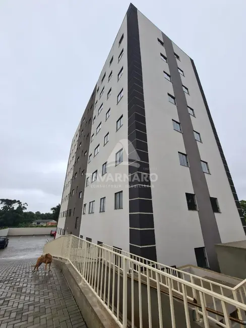 Foto 1 de Apartamento com 3 quartos à venda, 46m2 em Ponta Grossa - PR
