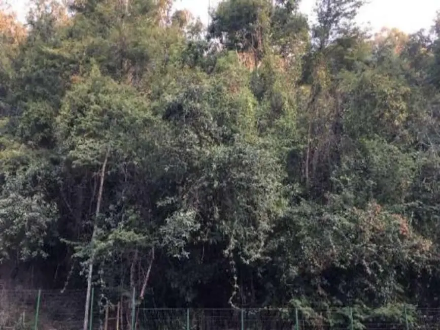 Foto 4 de Apartamento com 2 quartos à venda, 70m2 em Maceió, Niteroi - RJ