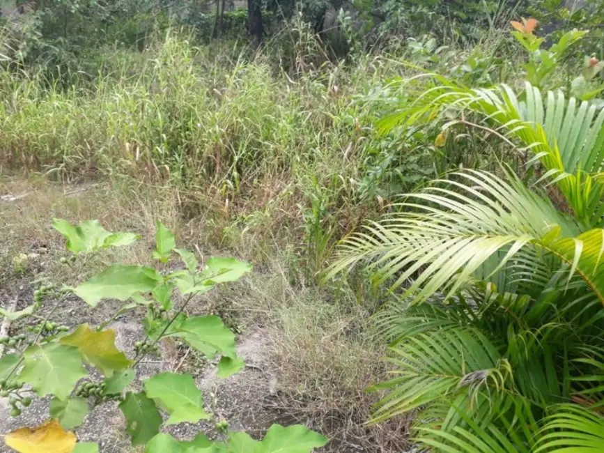 Foto 2 de Terreno / Lote à venda, 1200m2 em Serra Grande, Niteroi - RJ