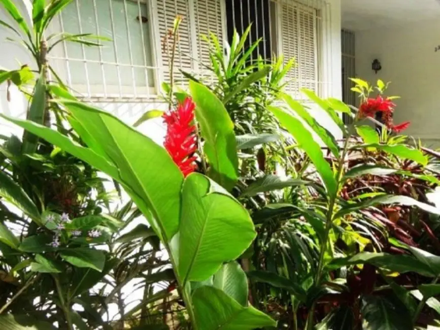 Foto 2 de Casa com 6 quartos à venda, 654m2 em Jardim Botânico, Rio De Janeiro - RJ