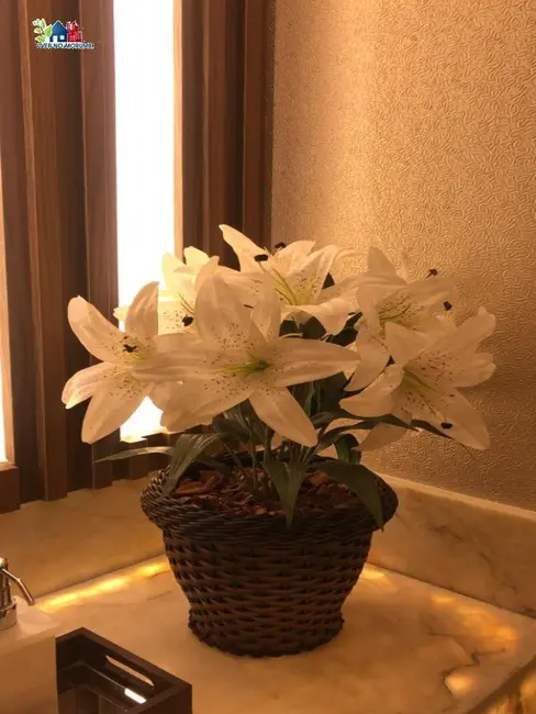 Foto 7 de Apartamento com 4 quartos à venda, 238m2 em Vila Suzana, São Paulo - SP