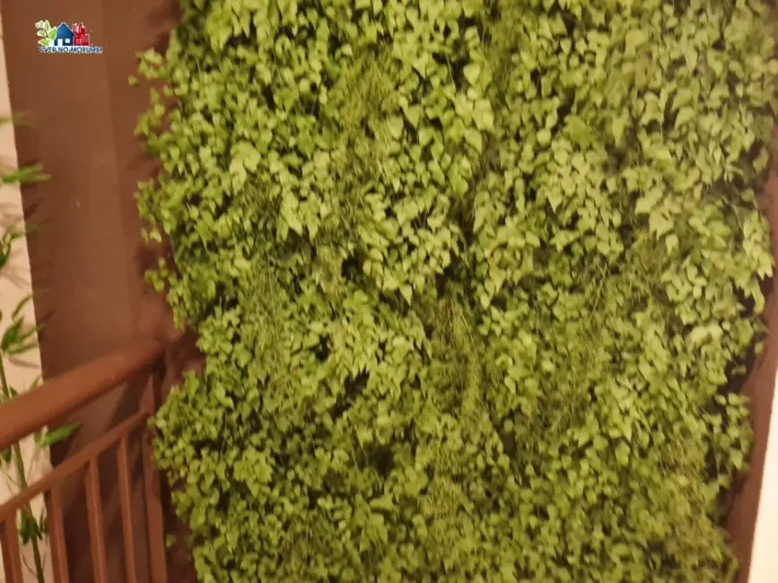 Apartamento com 2 quartos à venda, 48m2 em Vila Andrade, São Paulo - SP - imagem 4 Foto 4 de Apartamento com 2 quartos à venda, 48m2 em Vila Andrade, São Paulo - SP