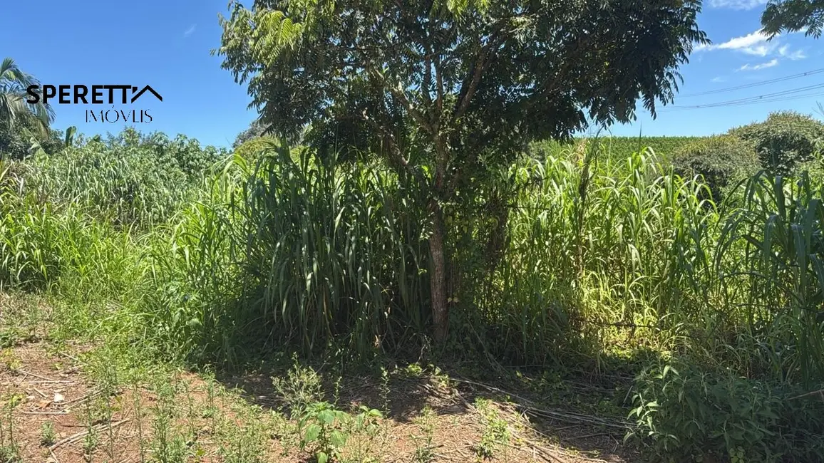 Foto 6 de Terreno / Lote à venda, 1530m2 em Jarinu - SP
