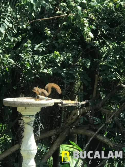 Foto 8 de Casa com 3 quartos à venda, 3333m2 em Condomínio Iolanda, Taboao Da Serra - SP