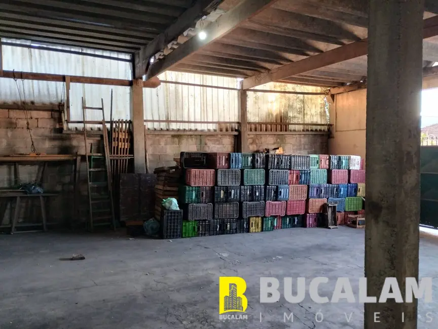 Foto 3 de Armazém / Galpão para alugar, 220m2 em Vila São Luís(Zona Oeste), São Paulo - SP