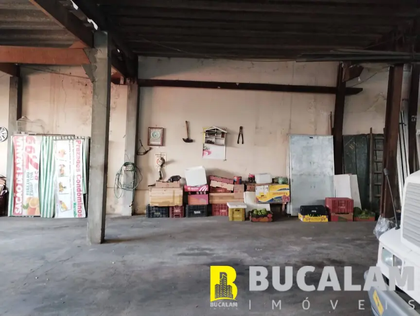 Foto 6 de Armazém / Galpão para alugar, 220m2 em Vila São Luís(Zona Oeste), São Paulo - SP