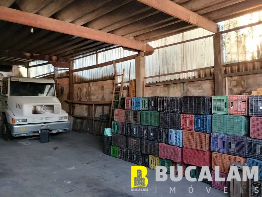 Foto 8 de Armazém / Galpão para alugar, 220m2 em Vila São Luís(Zona Oeste), São Paulo - SP