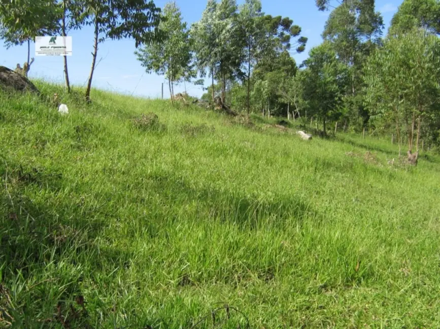 Chácara à venda, 11280m2 em Sao Roque - SP - imagem 8 Foto 8 de Chácara à venda, 11280m2 em Sao Roque - SP