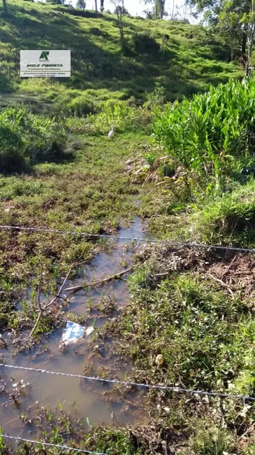 Chácara à venda, 11280m2 em Sao Roque - SP - imagem 6 Foto 6 de Chácara à venda, 11280m2 em Sao Roque - SP