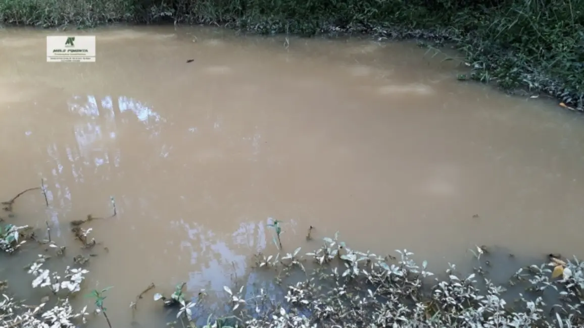 Foto 9 de Chácara com 6 quartos à venda, 17000m2 em Sao Roque - SP