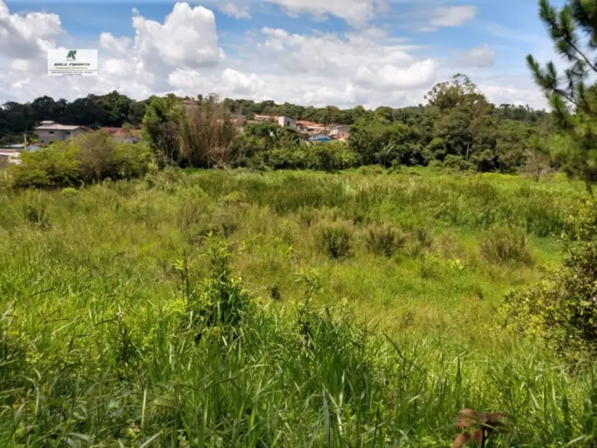 Foto 5 de Terreno / Lote à venda, 3695m2 em Sao Roque - SP