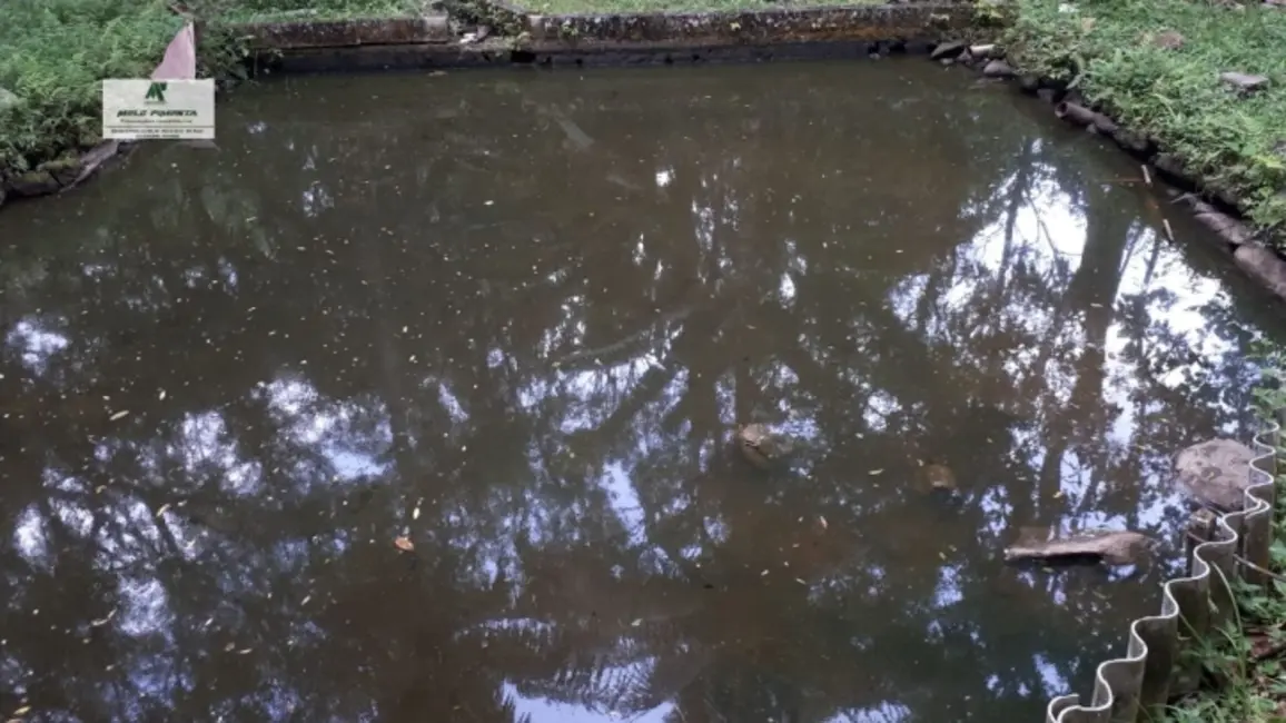 Chácara com 4 quartos à venda, 1100m2 em Sao Roque - SP - imagem 8 Foto 8 de Chácara com 4 quartos à venda, 1100m2 em Sao Roque - SP