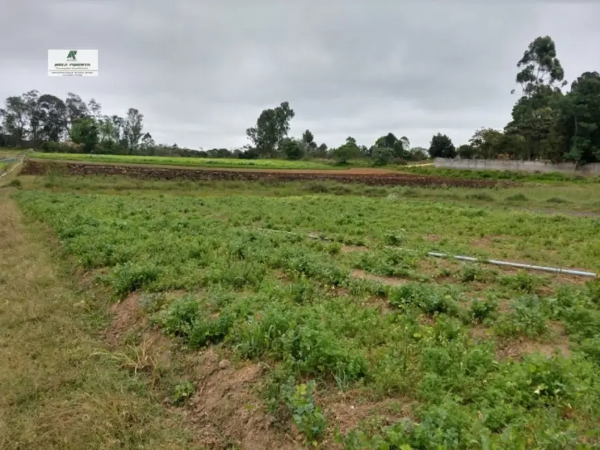 Foto 1 de Terreno / Lote à venda, 2500m2 em Sao Roque - SP