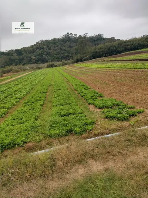 Foto 2 de Terreno / Lote à venda, 2500m2 em Sao Roque - SP