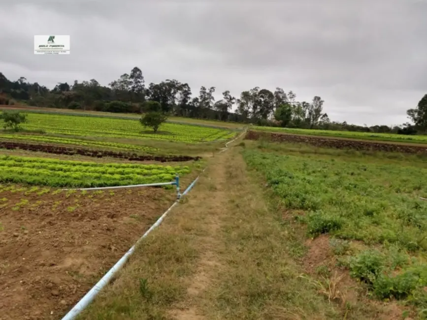 Foto 4 de Terreno / Lote à venda, 2500m2 em Sao Roque - SP