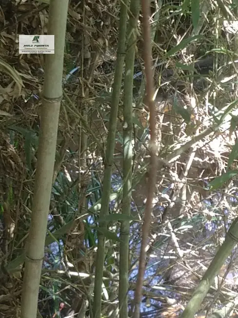 Foto 5 de Terreno / Lote à venda, 2500m2 em Sao Roque - SP