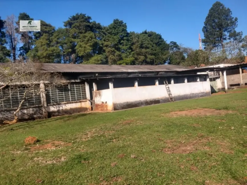 Foto 6 de Sala Comercial à venda e para alugar, 50000m2 em Taboão, Sao Roque - SP