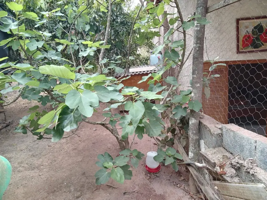 Foto 7 de Casa com 2 quartos à venda, 1200m2 em Ibiuna - SP