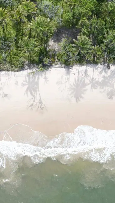 Fazenda / Haras à venda e para alugar, 300000m2 em Itubera - BA - imagem 4 Foto 4 de Fazenda / Haras à venda e para alugar, 300000m2 em Itubera - BA