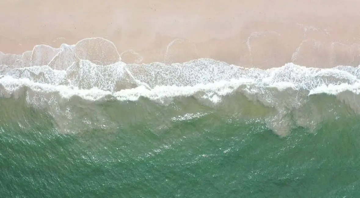 Fazenda / Haras à venda e para alugar, 300000m2 em Itubera - BA - imagem 8 Foto 8 de Fazenda / Haras à venda e para alugar, 300000m2 em Itubera - BA
