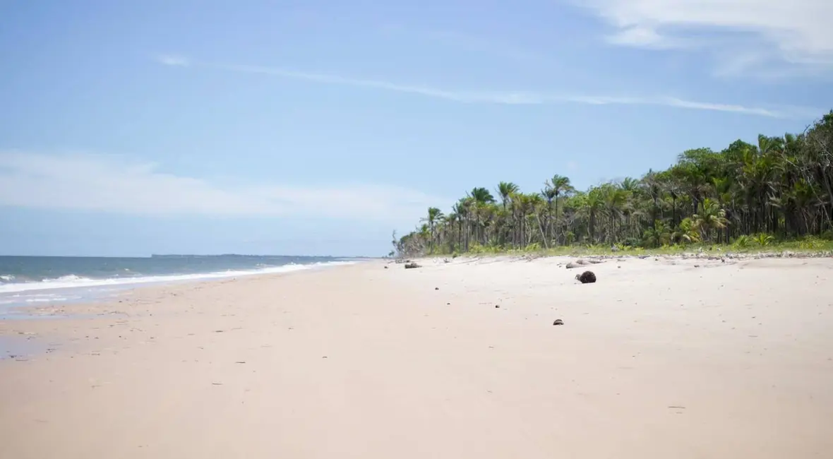 Fazenda / Haras à venda e para alugar, 300000m2 em Itubera - BA - imagem 3 Foto 3 de Fazenda / Haras à venda e para alugar, 300000m2 em Itubera - BA